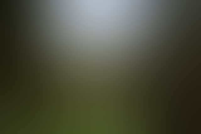 5Eb5577570468Ff8D5Dca7Ae9E0364Fe