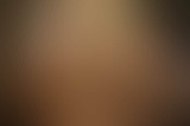 Fb29C1B1587111C2C64678Fde13353Ca