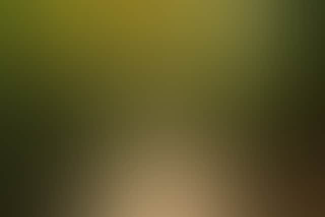 D65029919690A1B12C1Ed9B65Ca3F052