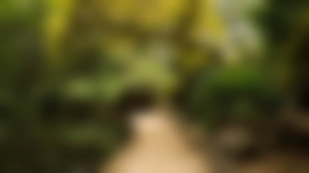 D65029919690A1B12C1Ed9B65Ca3F052