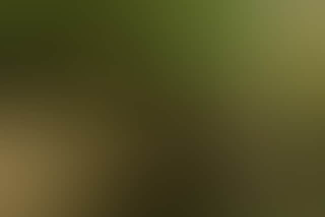 0Ff0Cb3D53014F91Cdc91Ad8D7Afc95E