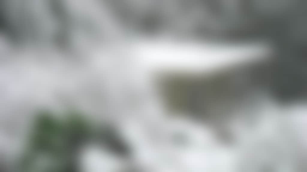 C16664F84Ffda81Aff367B5E585Ed4Cd