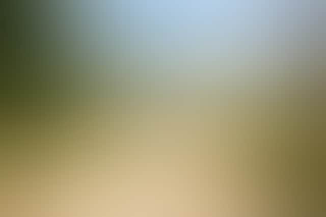 15711E4F5938Db2Cfea026592A5323Fa