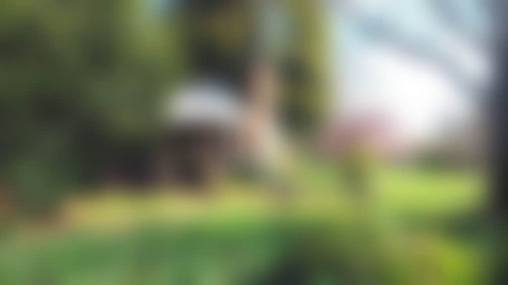 1C66Fe7Ba14C446402E53Fc7Aeddba82