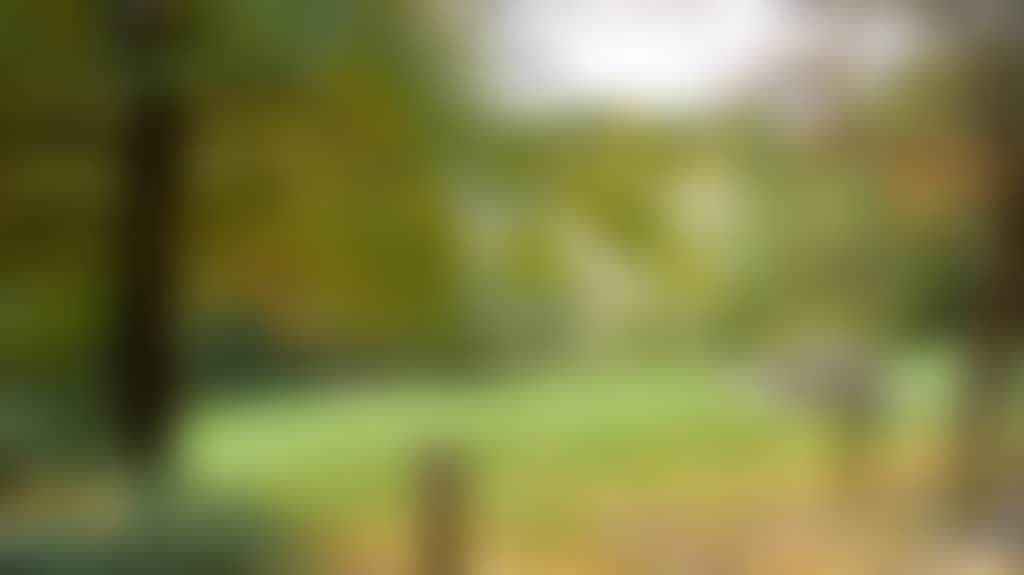 73F404456E0595B84F4C445C5A237C9C