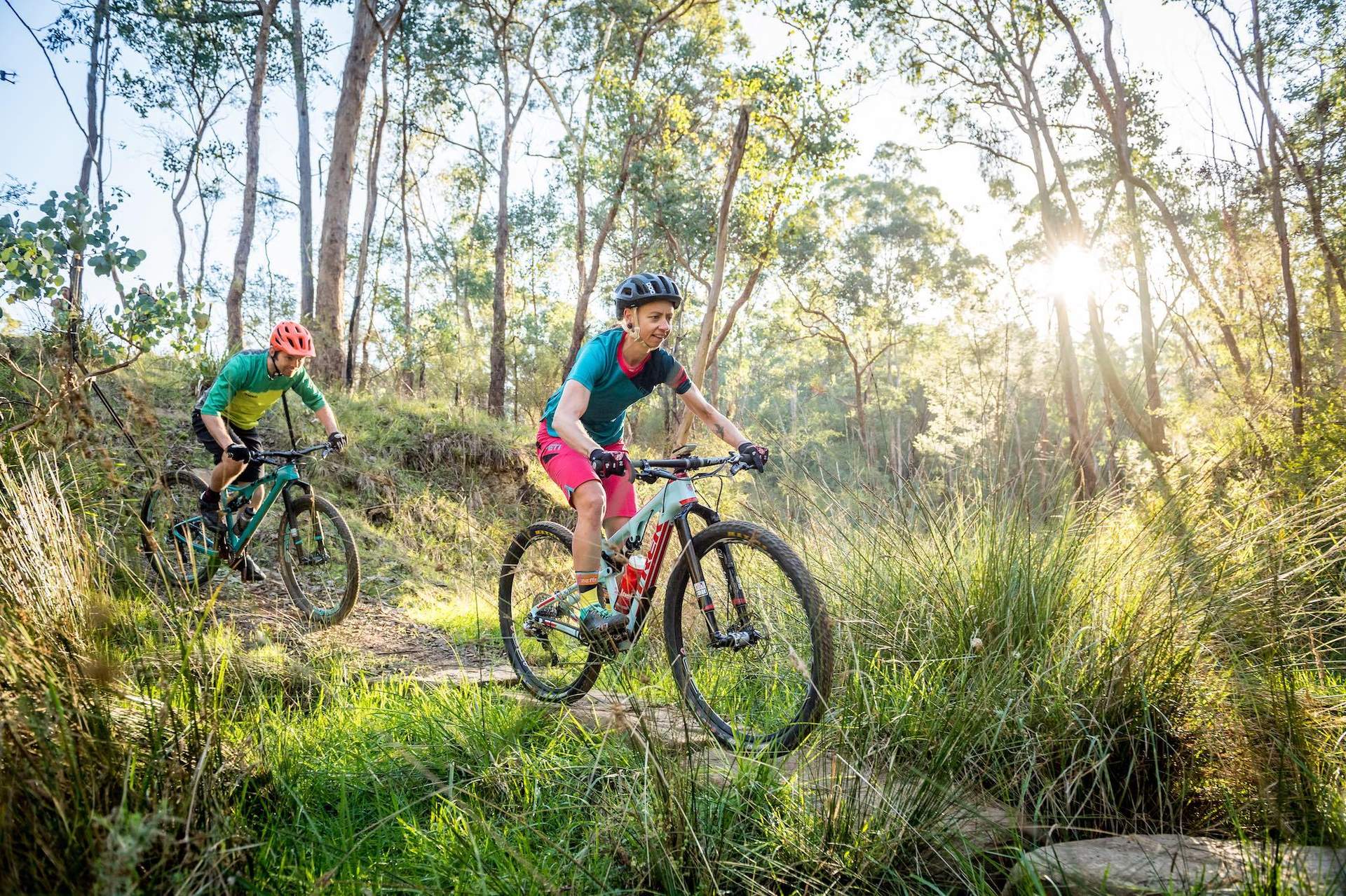 Mountain biking state forests