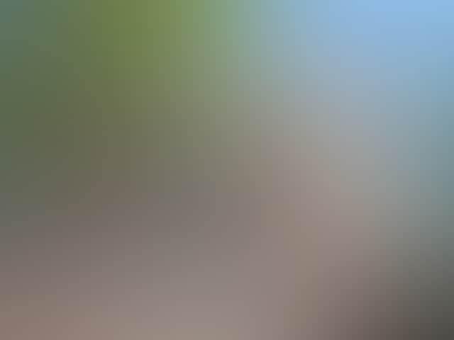 977Ad9C384Bf0A6E78Bd3C269C3858D5