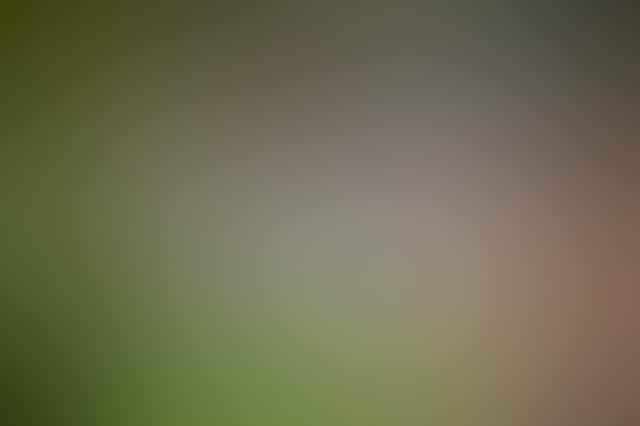 Original__9623595_Dp75_Great_Stesp_With_Couple_And_Green3460_P4Lm4Qn