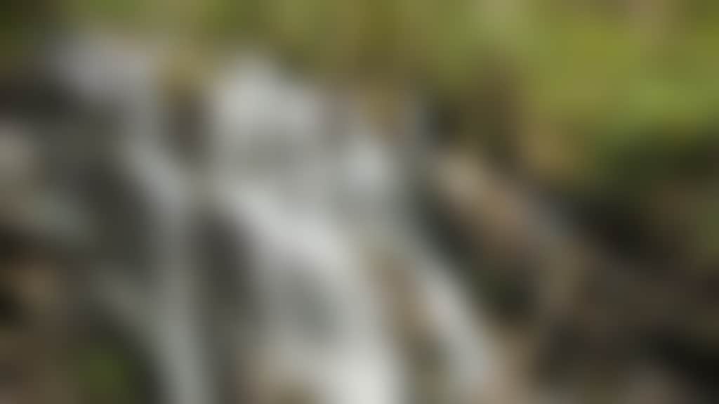 Toorongo falls reserve