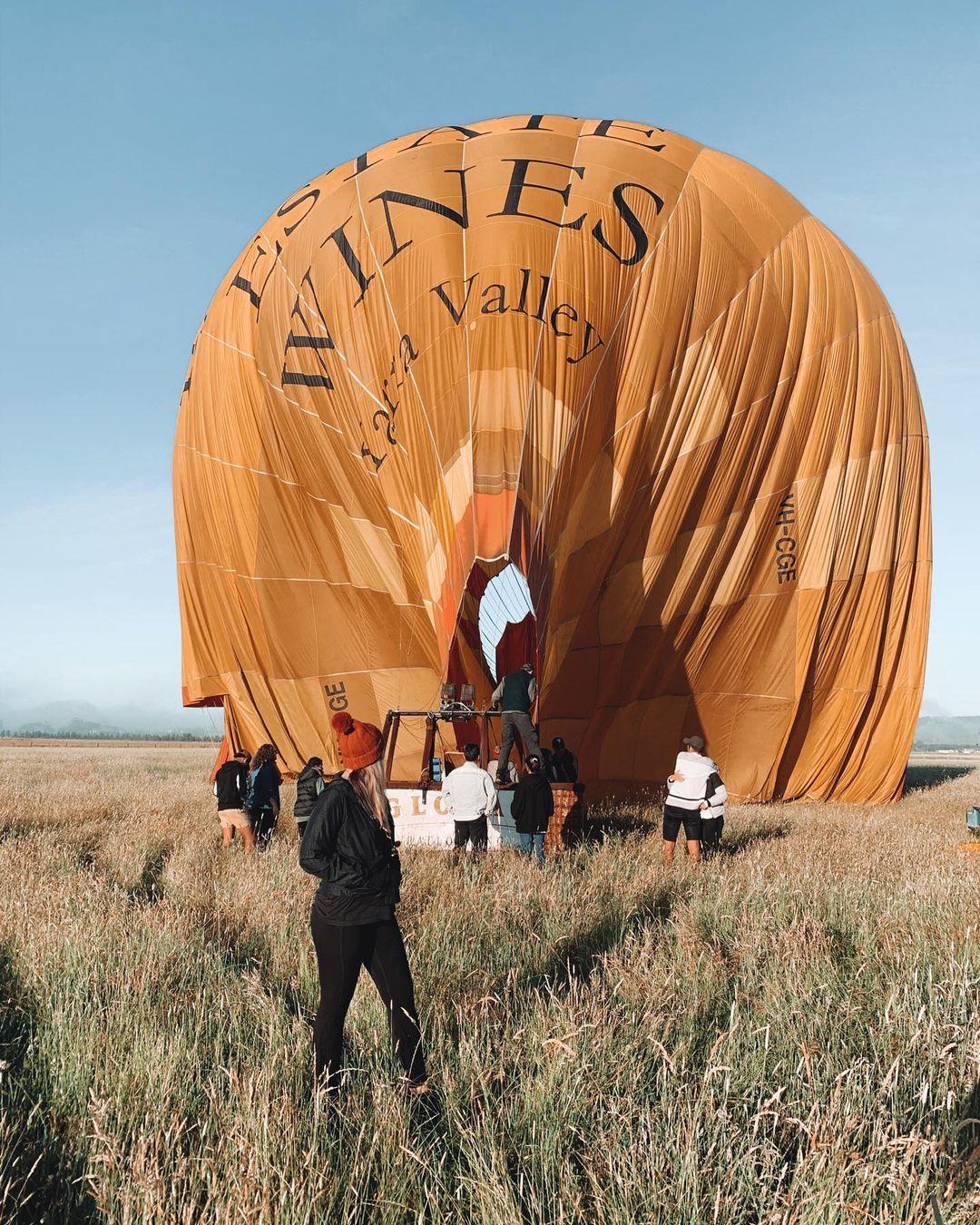 128209373 343076476667083 6109988519831376283 n