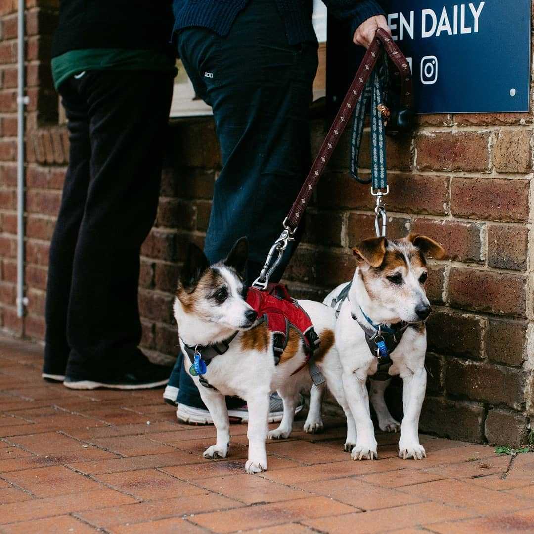 128943173 438114180513578 7422183840536083608 n