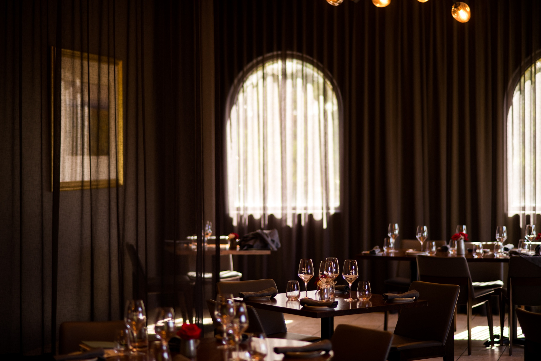 186865889 10159411979272700 1426739360930478542 n