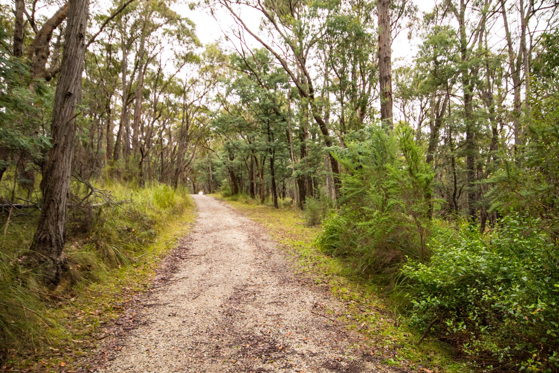 20220526 Stock RJ Chambers Pakenham Upper WEB 03