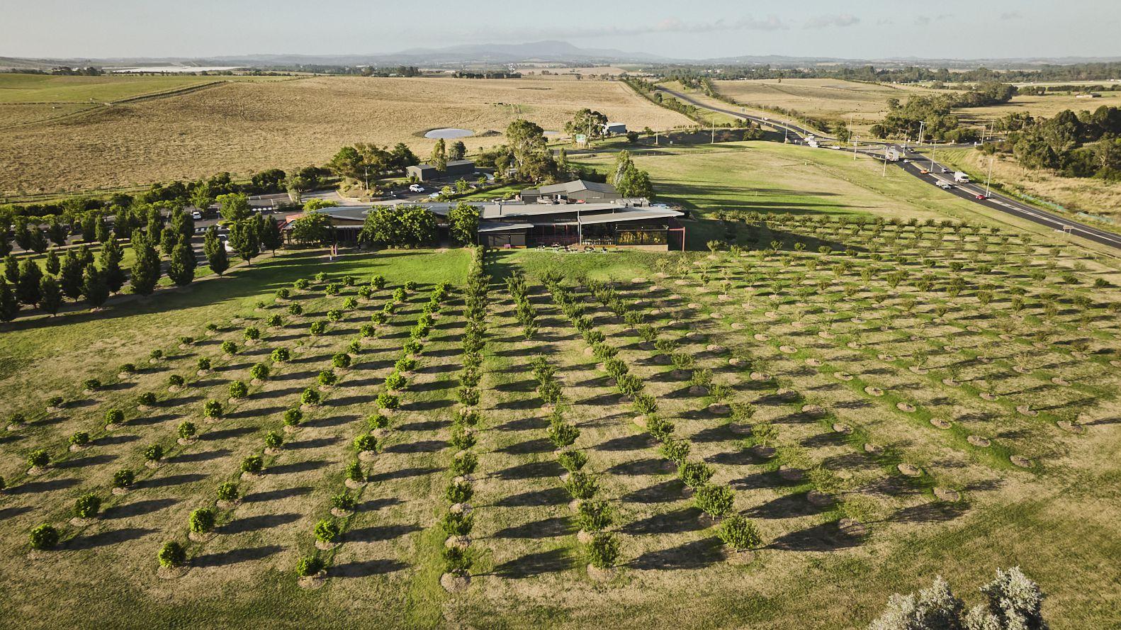 2022 Yarra Valley Chocolaterie Visit Vic NECI 02 1