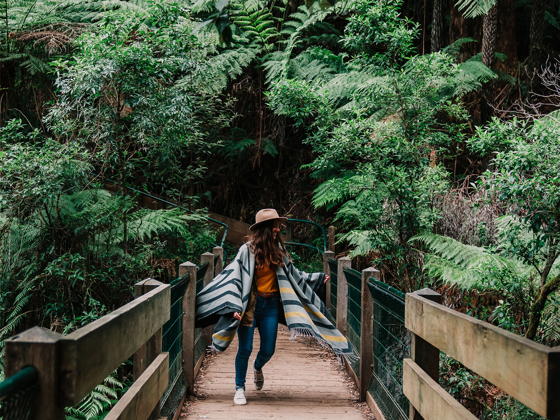 5 reasons nature lovers need to visit the dandenong ranges