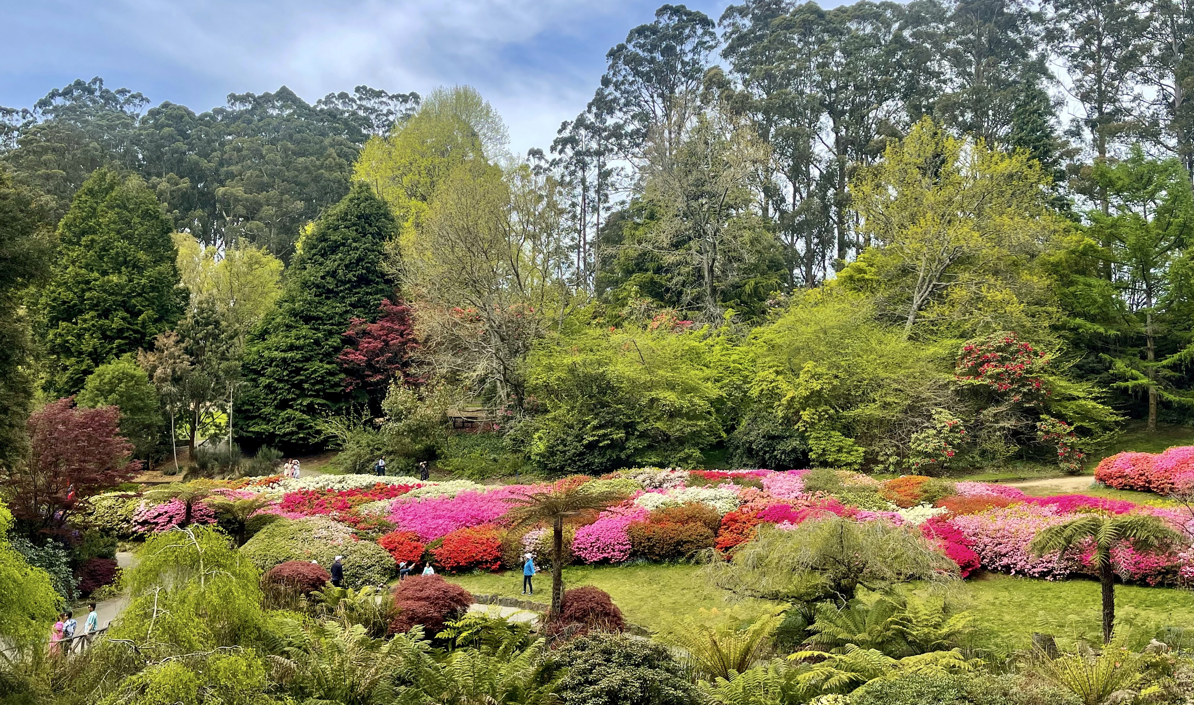 52990436766 8089a28fa0 o