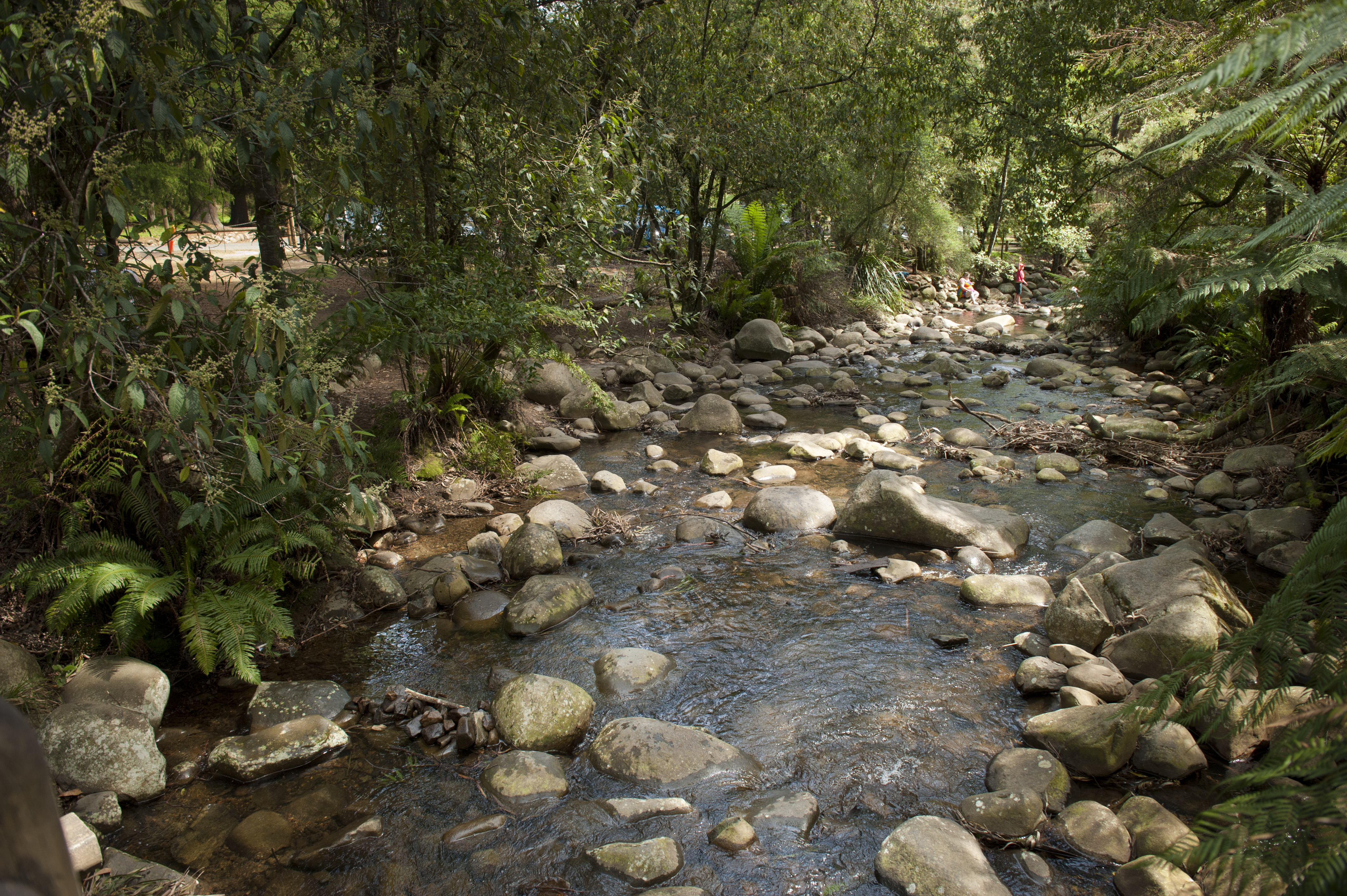 Badger Weir YRT141018 185