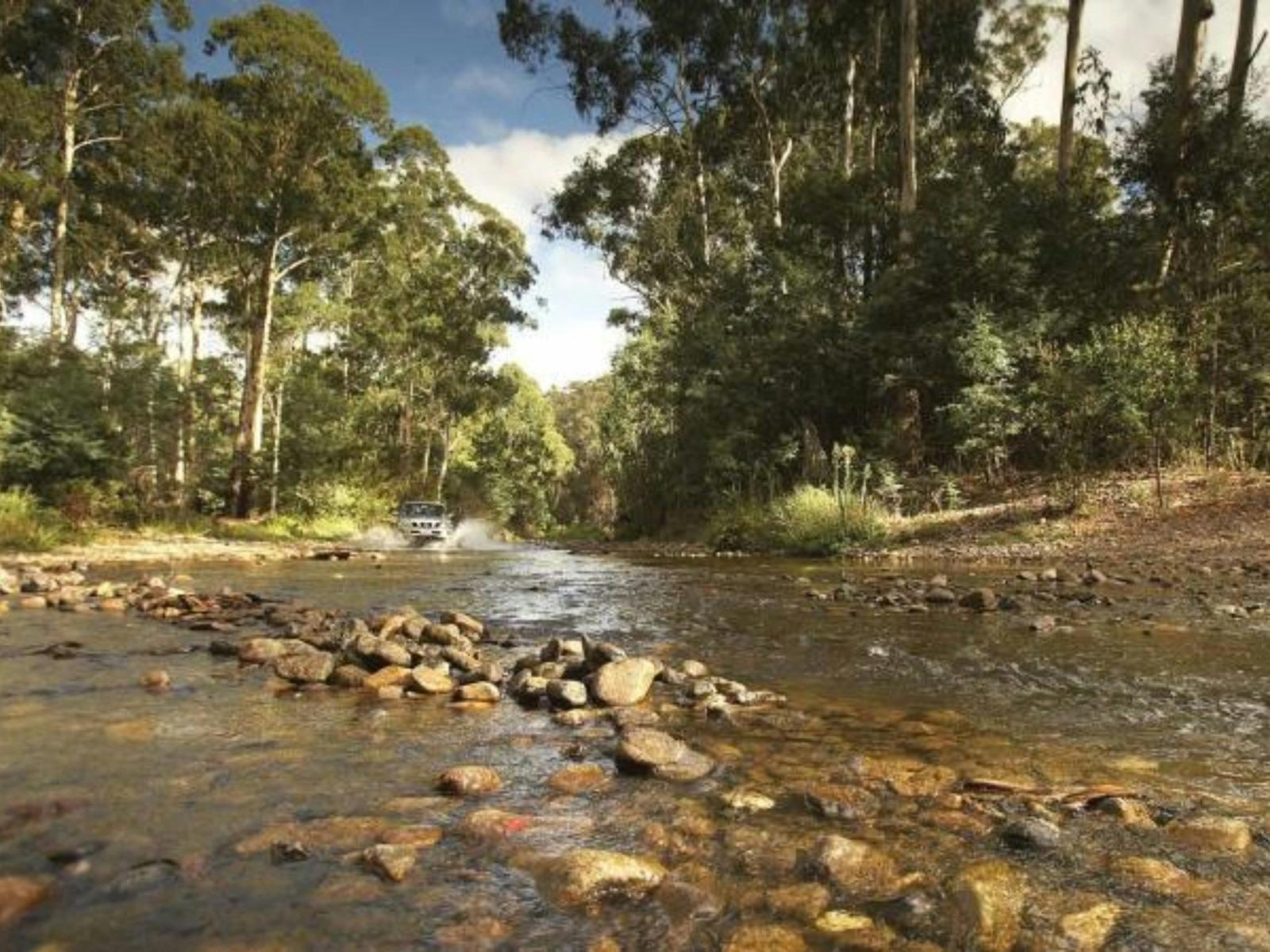 Bunyip State Park 1600 X1200