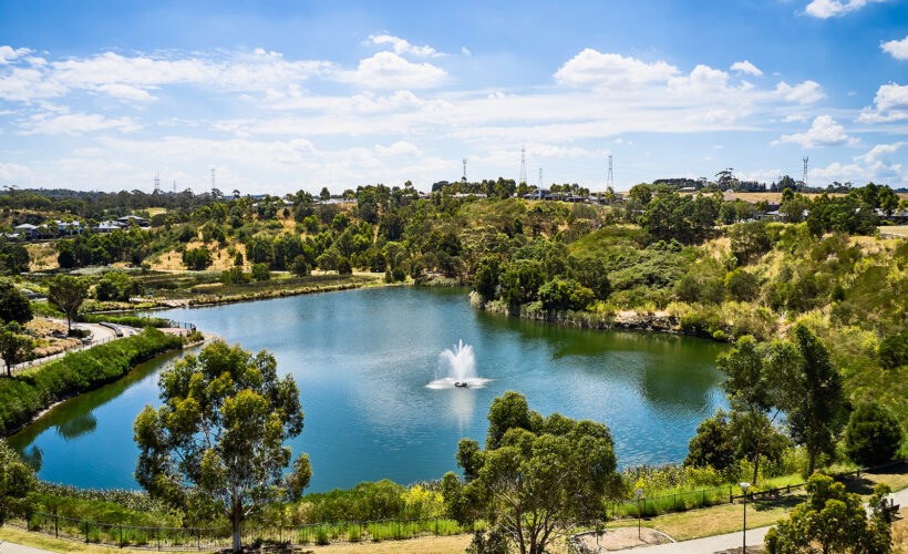 Cardina Council Jan2022 117 LR 820x500