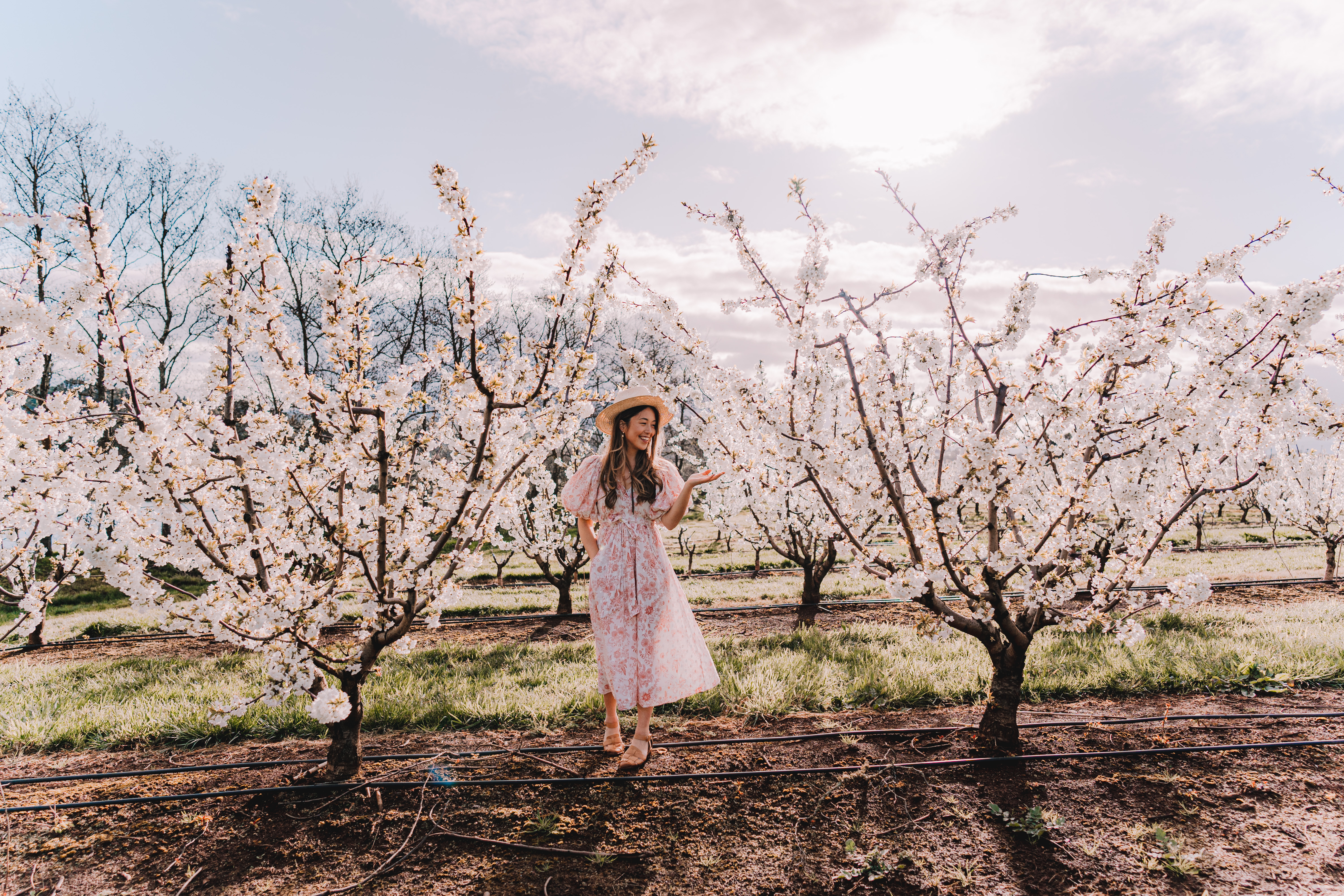 Cherry Hill2022 credit connieandluna 6