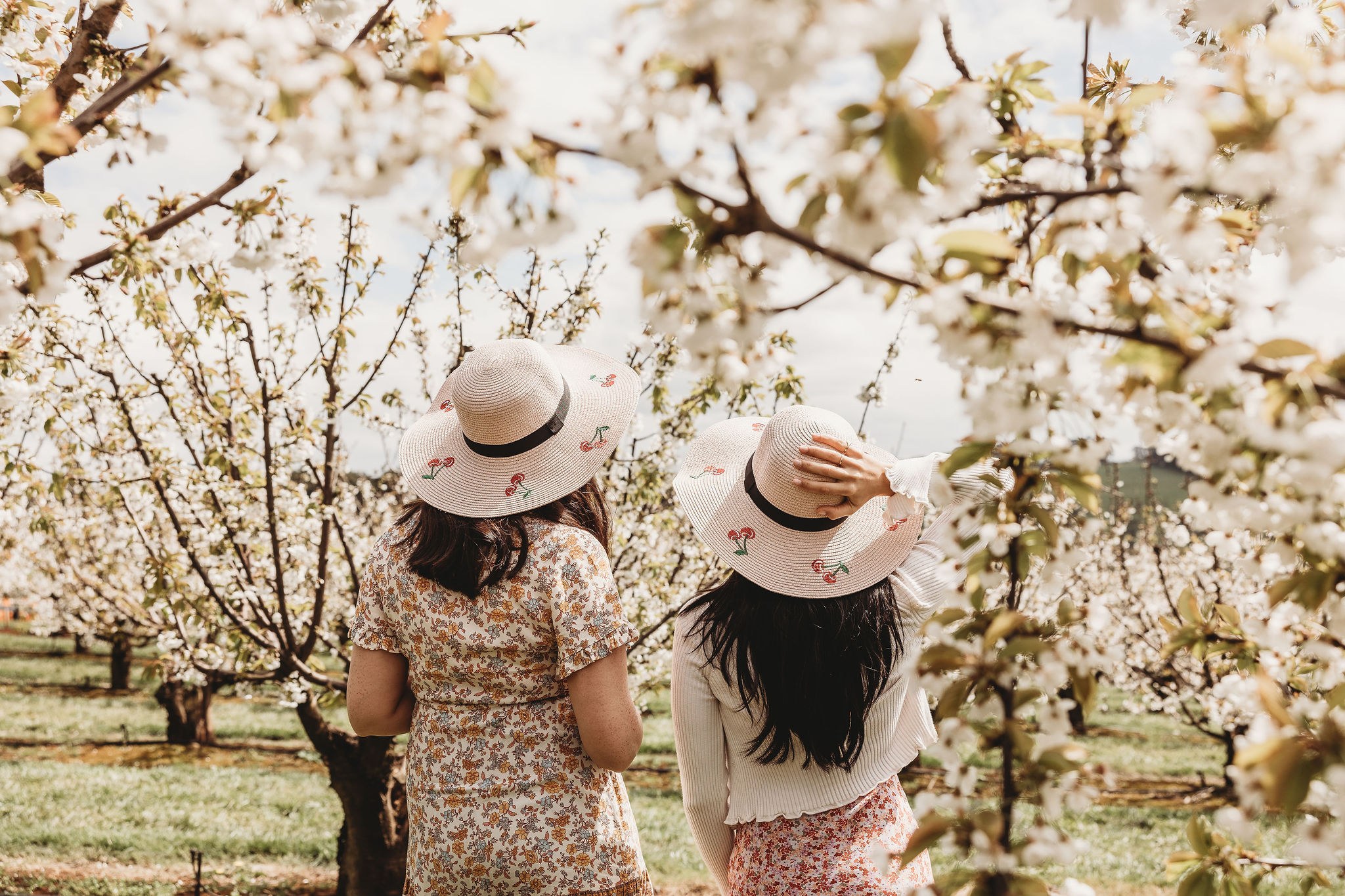 Cherry hats ladies 1