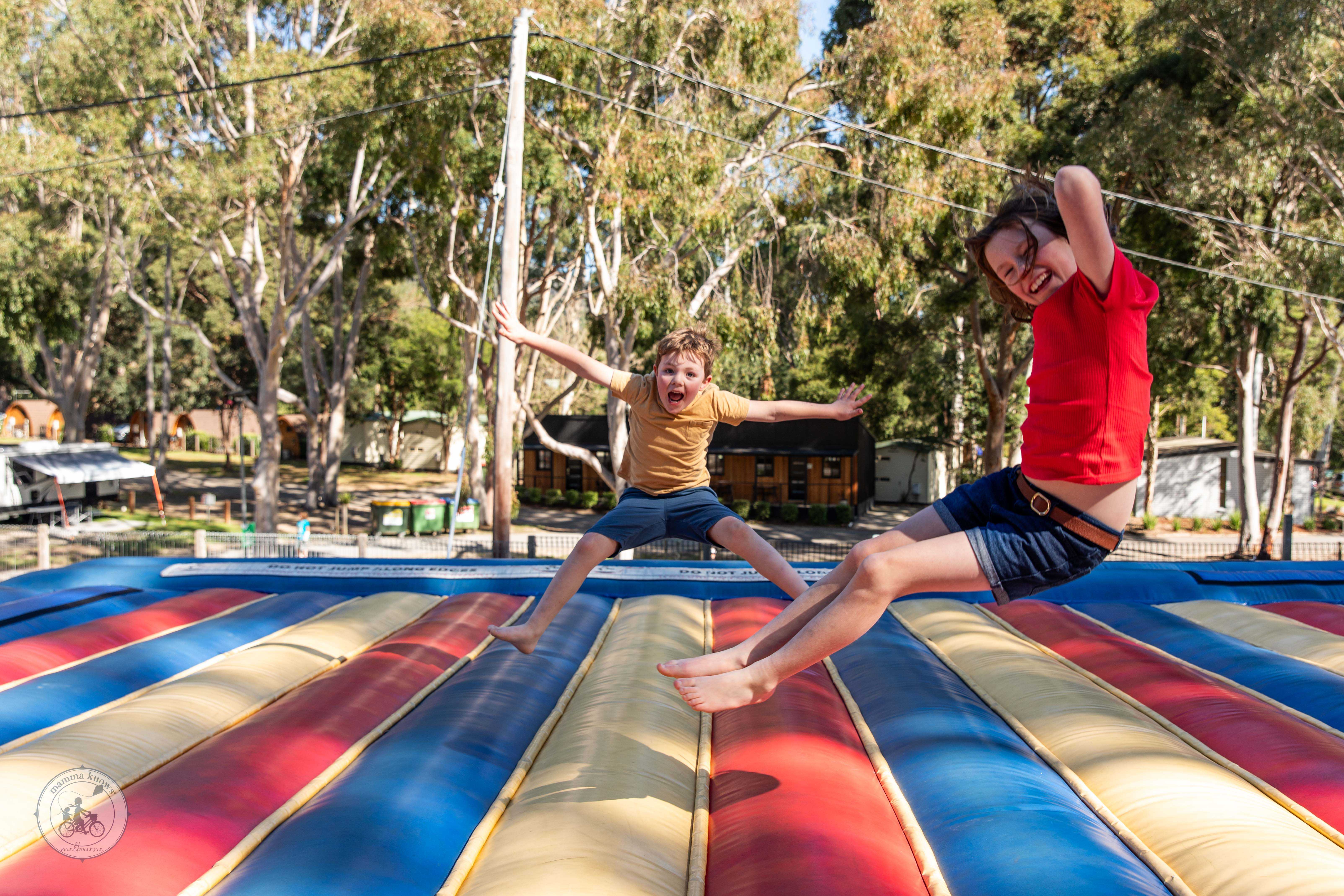 Explore Healesville with Kids Visit Yarra Valley & Dandenong Ranges