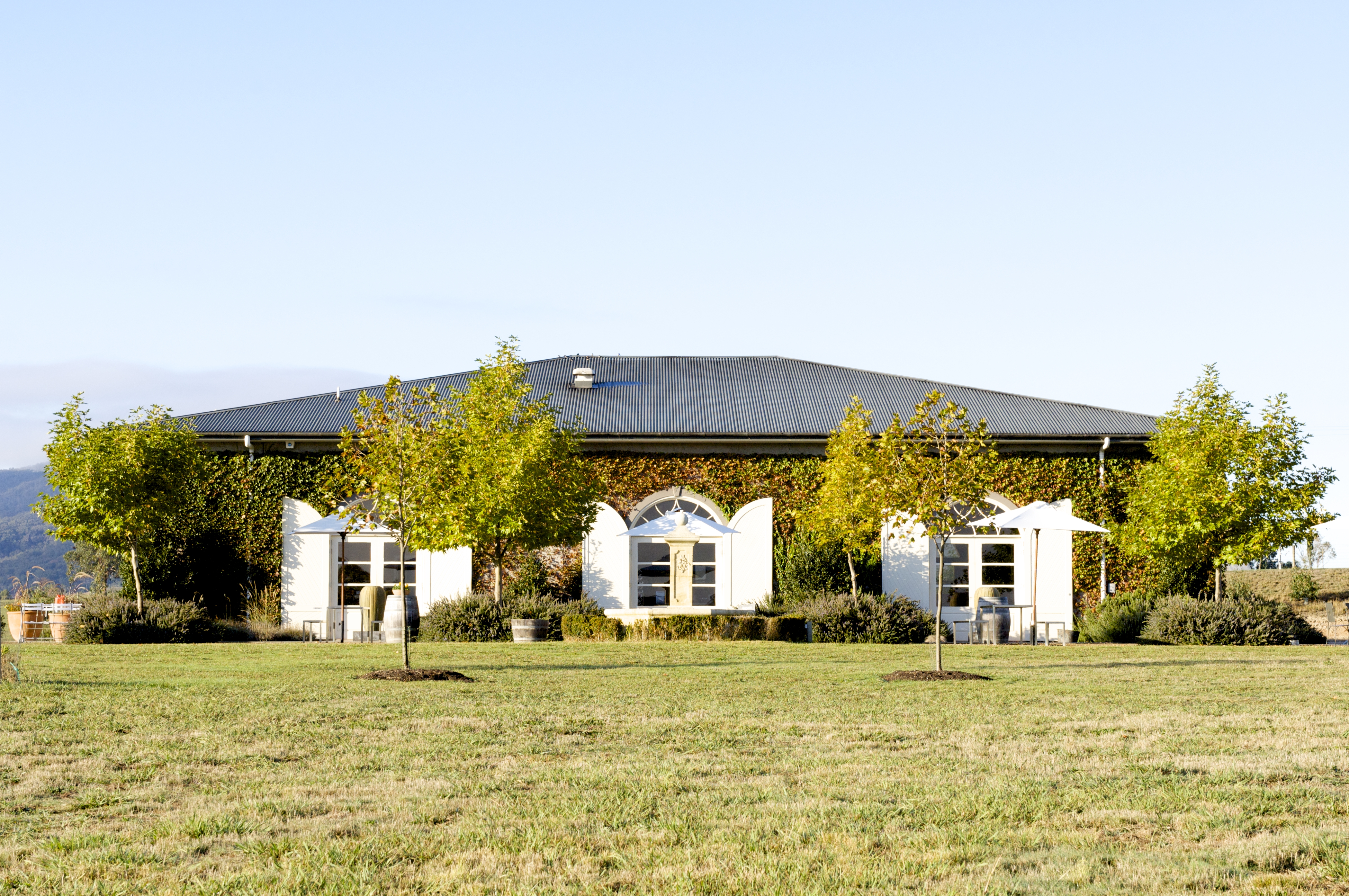 Dominque Portet Cellar Door