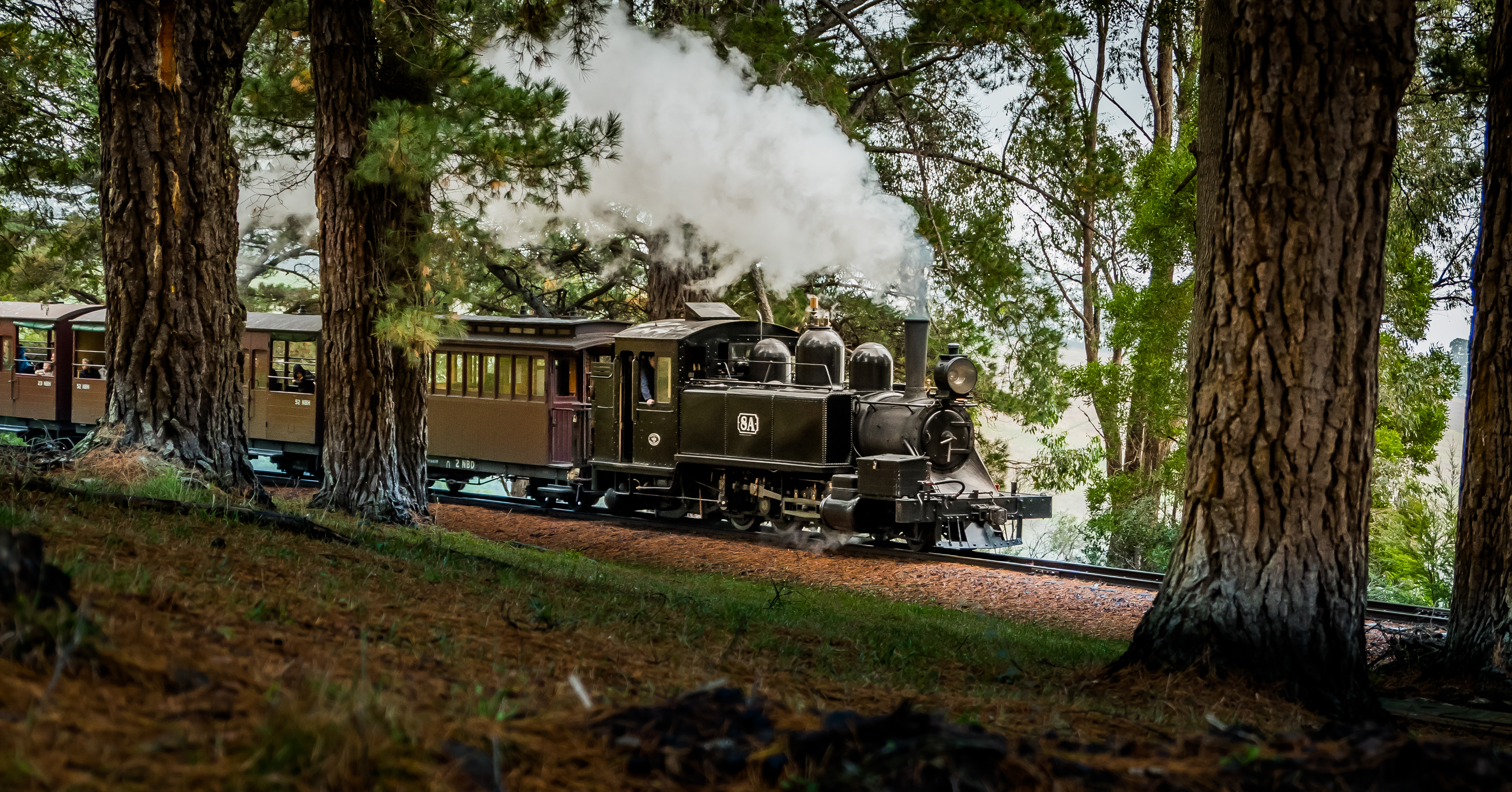 Puffing Billy 3
