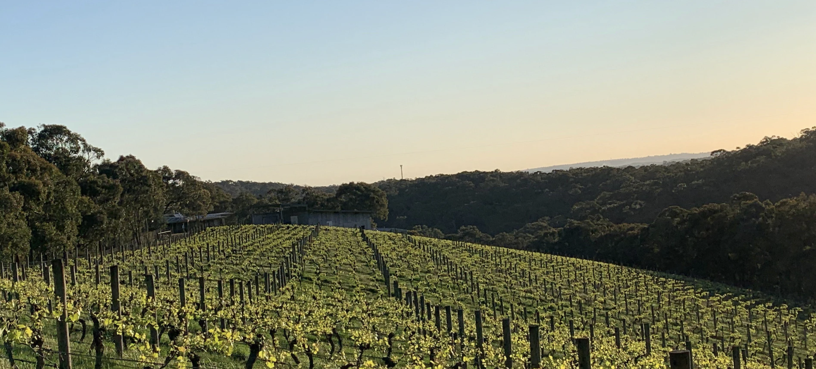 Screen Shot 2023 05 12 at 1 51 32 pm