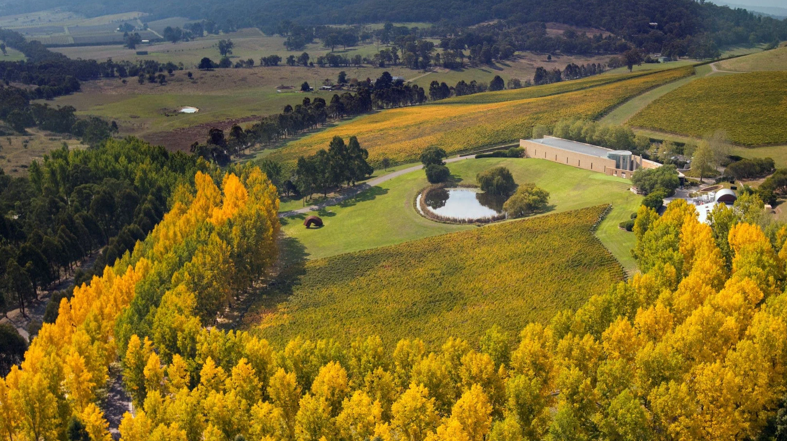 Screen Shot 2023 09 20 at 2 21 10 pm