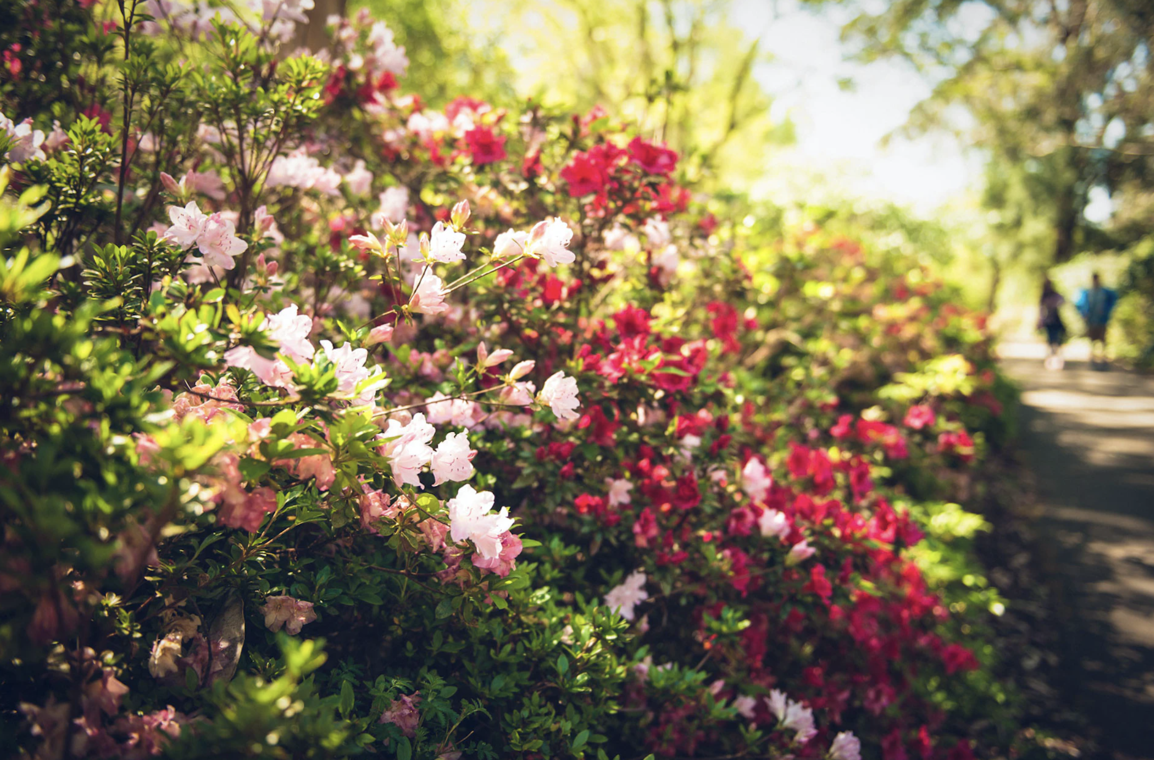 Screen Shot 2023 10 05 at 3 03 19 pm