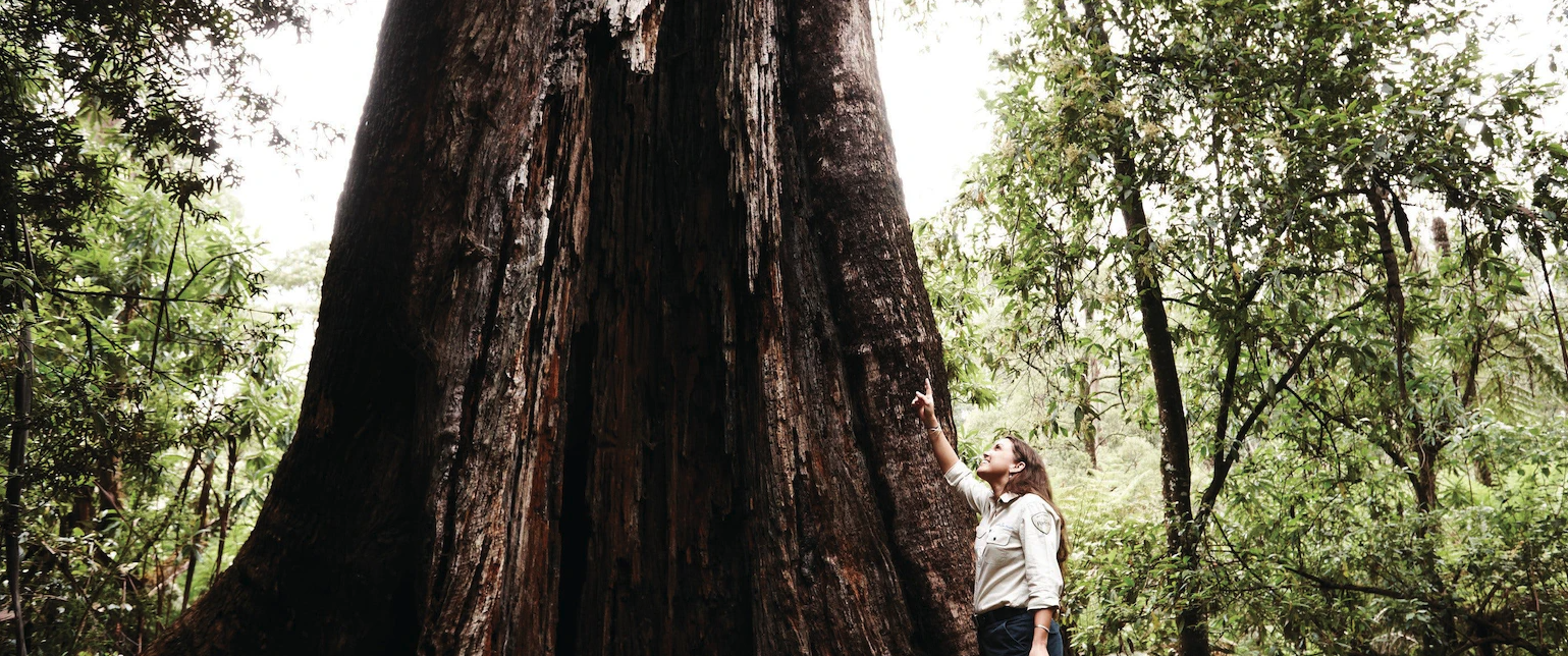 Screen Shot 2023 10 27 at 12 44 59 pm