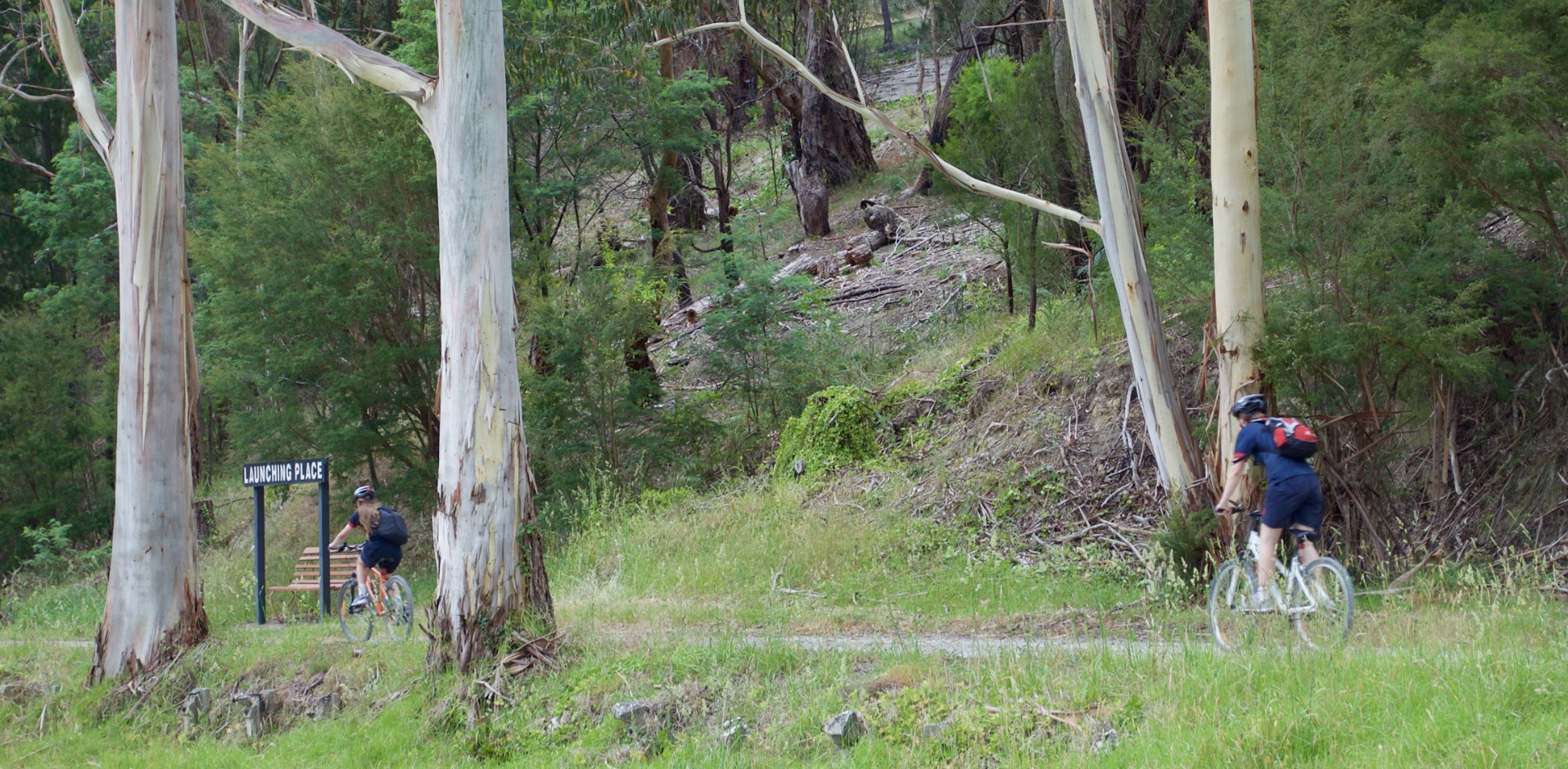 Screen Shot 2023 11 23 at 11 42 22 am copy