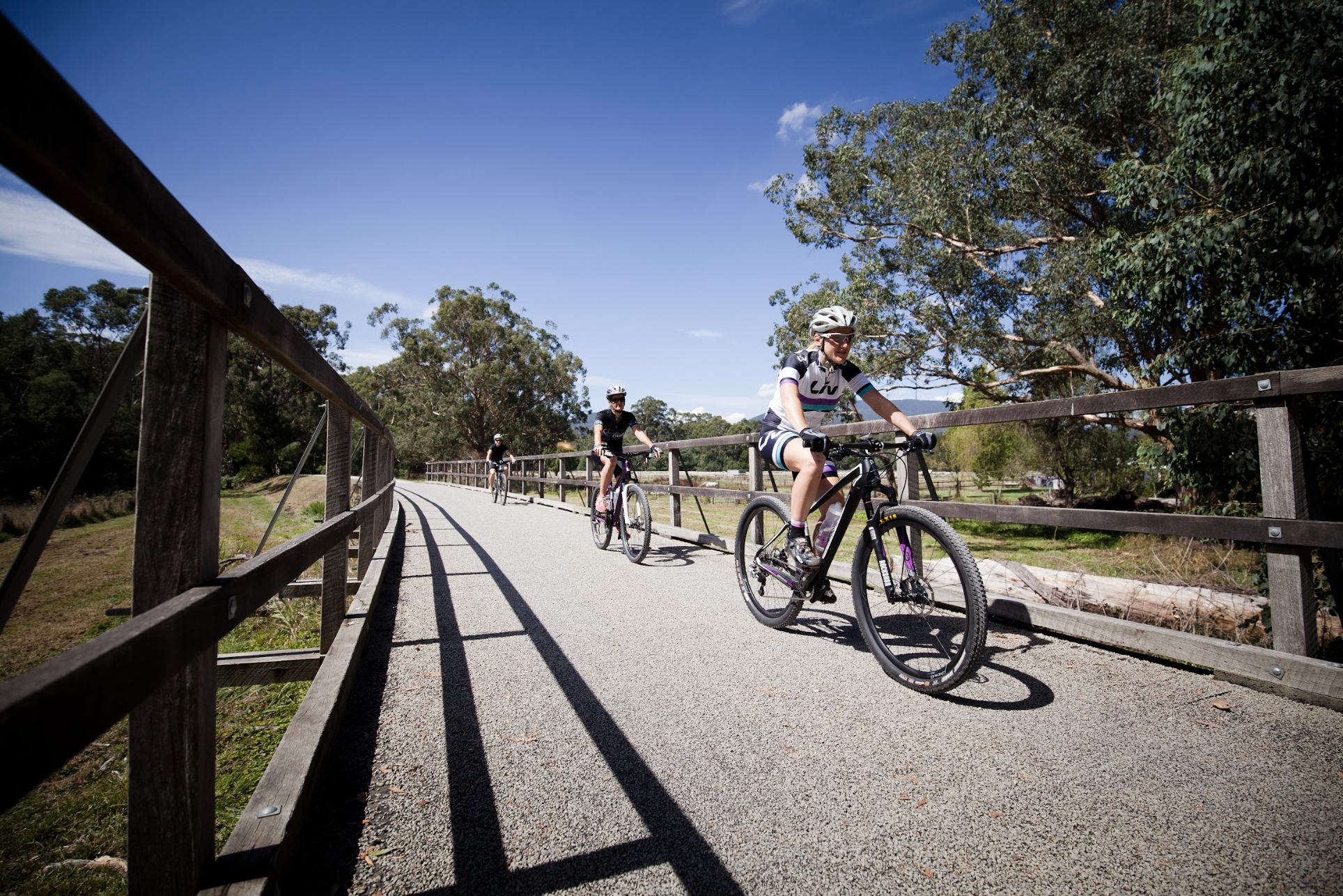 Screen Shot 2023 11 23 at 11 43 59 am