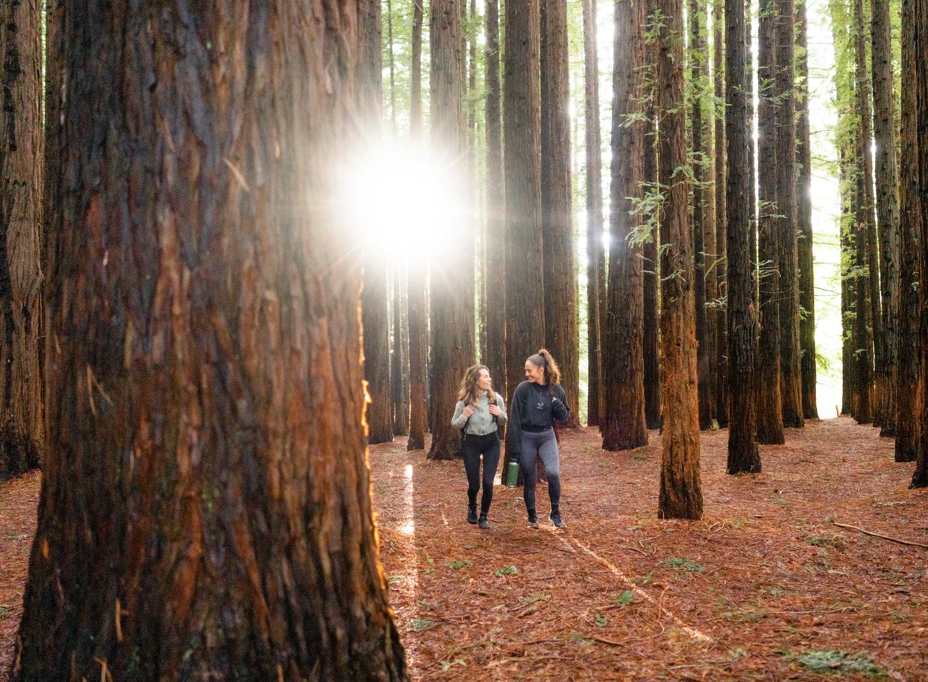 Screen Shot 2023 12 18 at 10 31 57 am