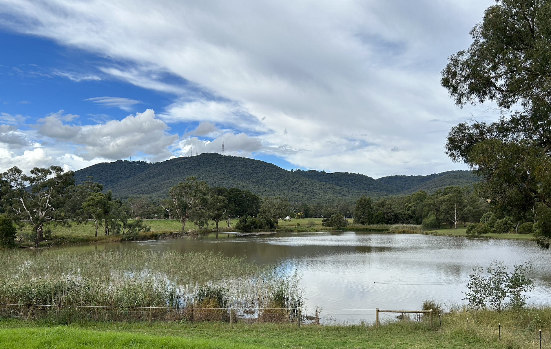 Screen Shot 2023 12 27 at 1 22 04 pm