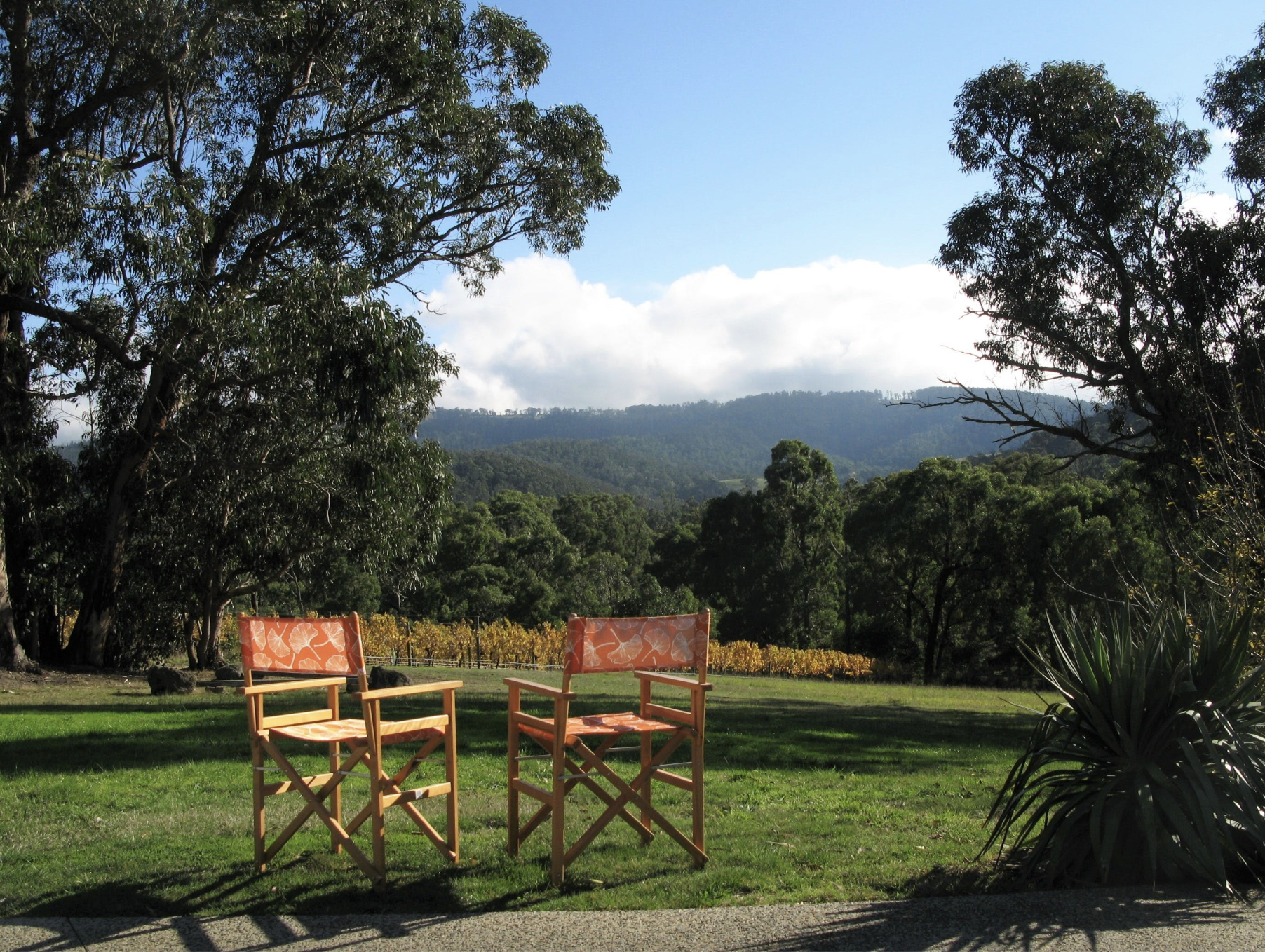 Screen Shot 2024 01 18 at 11 50 47 am