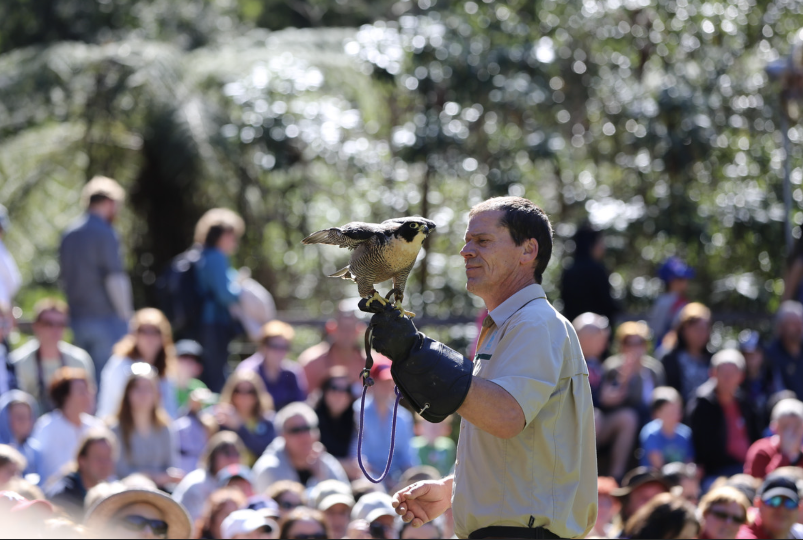 Screen Shot 2024 01 18 at 2 54 42 pm