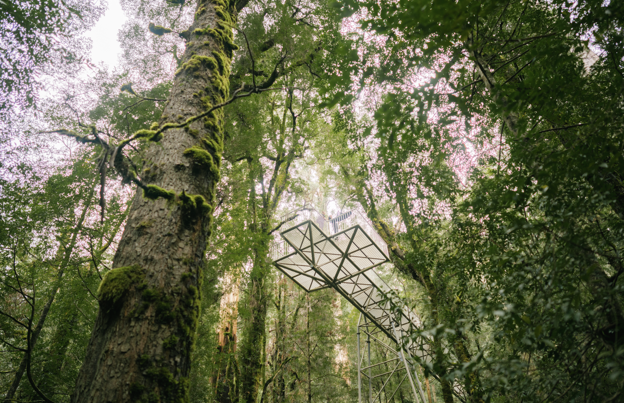 Screen Shot 2025 01 29 at 12 23 57 pm