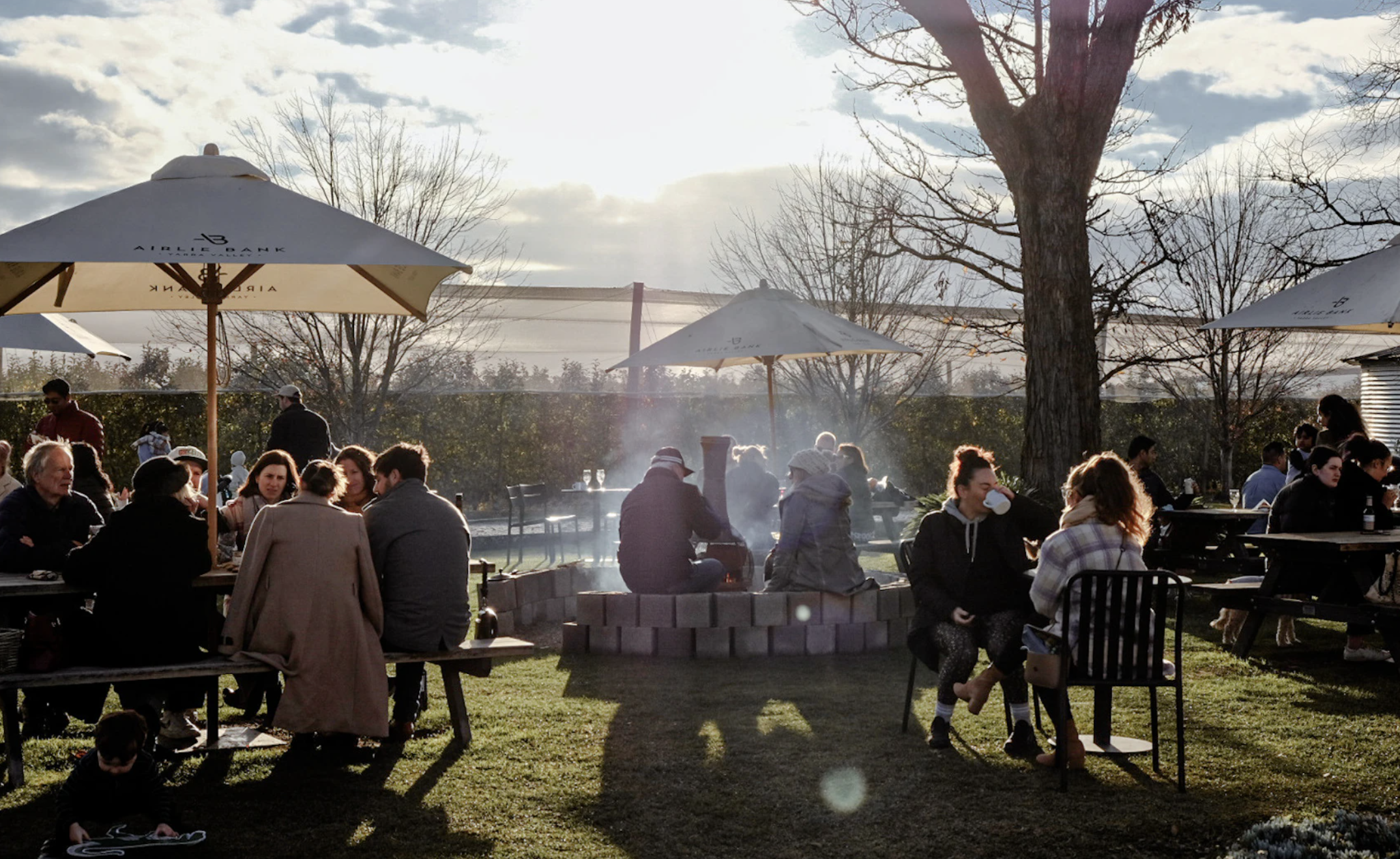 Screen Shot 2025 06 17 at 11 19 15 am