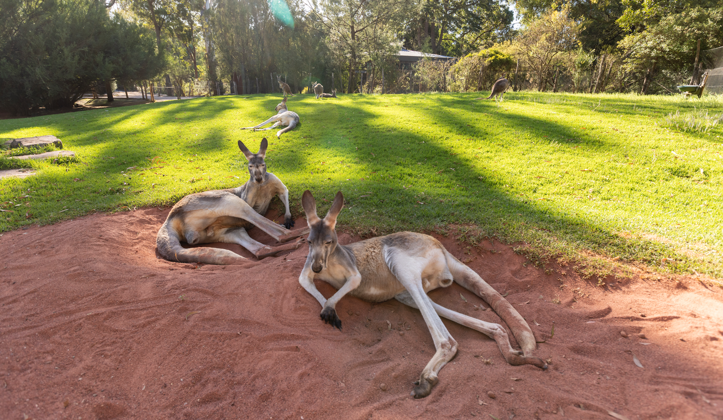 Screen Shot 2025 06 17 at 2 56 43 pm