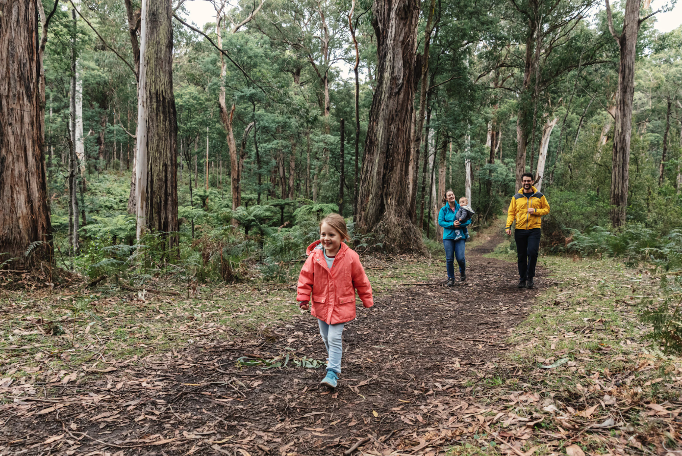 Screen Shot 2025 06 17 at 4 03 14 pm