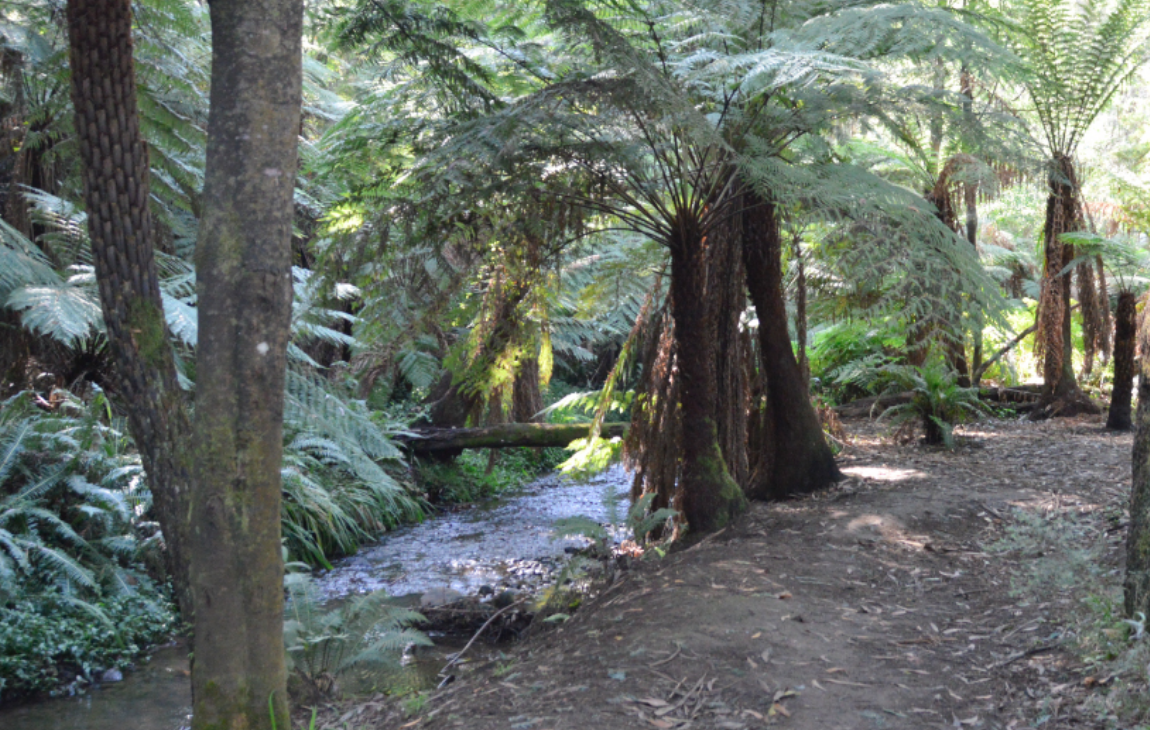 Screenshot 2025 12 08 at 14 31 41 Baynes Park Yarra Ranges Council