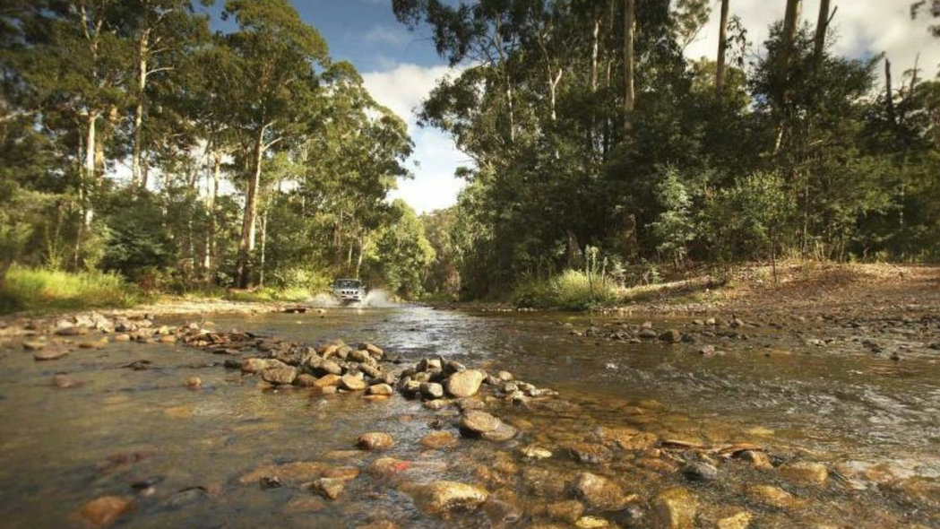 Screenshot 2026 07 23 at 09 23 50 Bunyip State Park Visit Yarra Valley Dandenong Ranges
