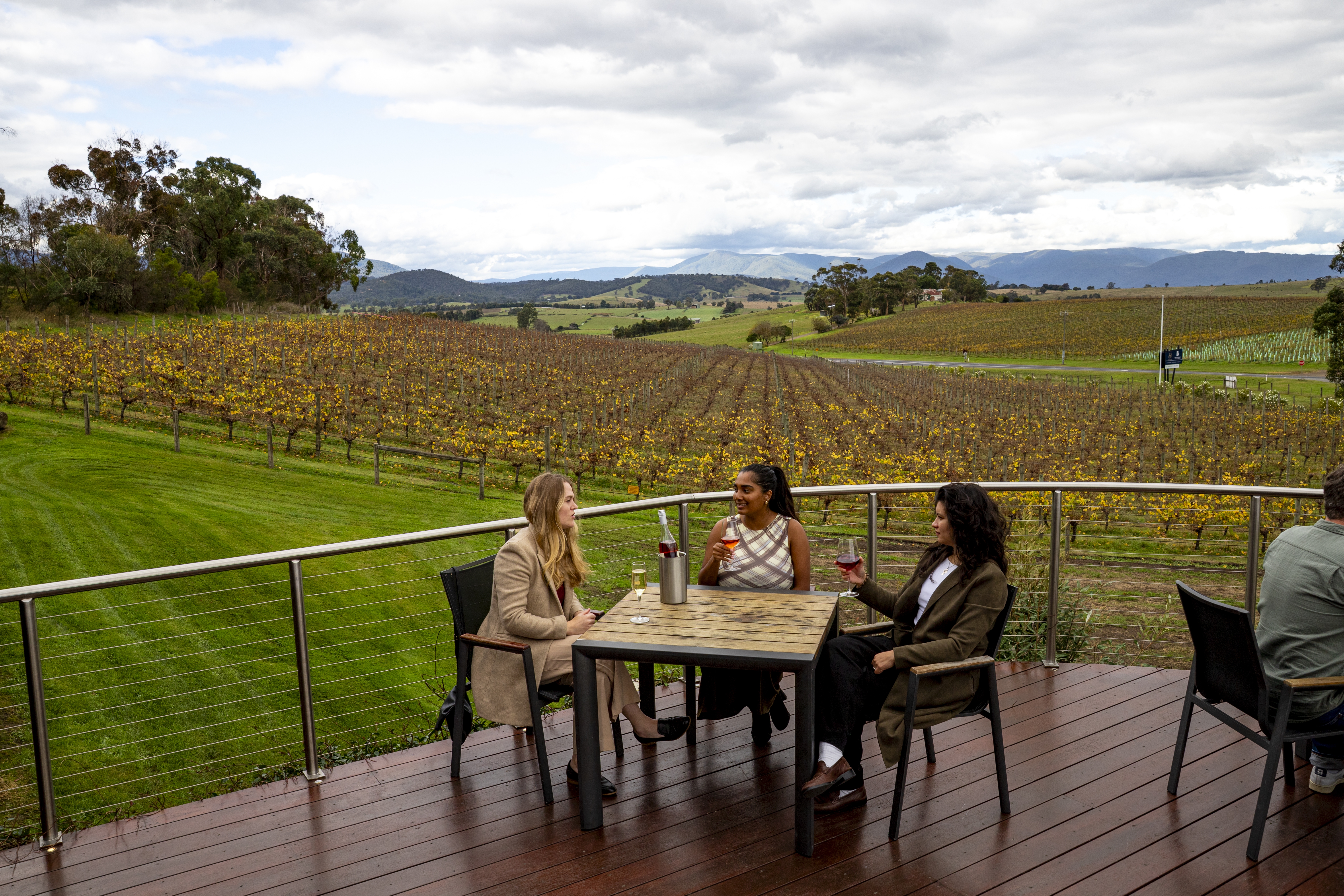 TE Autumn 2026 Justin Meneguzzi Yarra Valley Balgownie Estate6 1