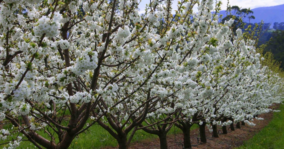 Wandin East Visit Yarra Valley & Dandenong Ranges