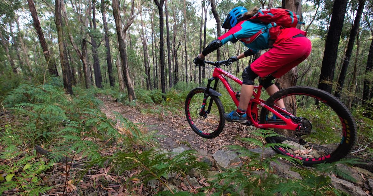 yarra valley bike shop