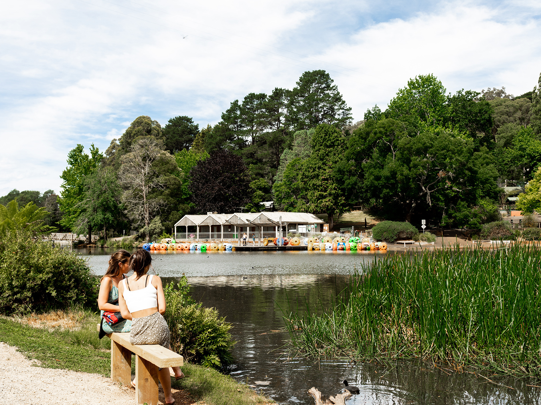 Puffing Billy Drive and Wave  Visit Yarra Valley & Dandenong Ranges