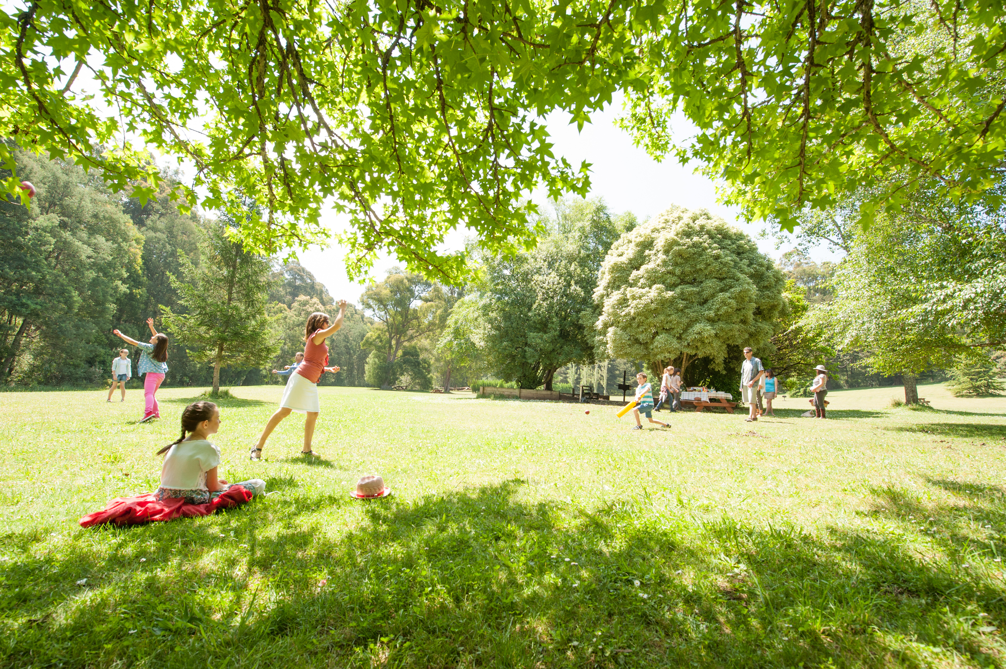Dr playground family park summer 1
