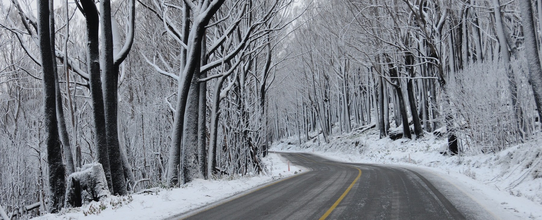 Lake mountain road copy